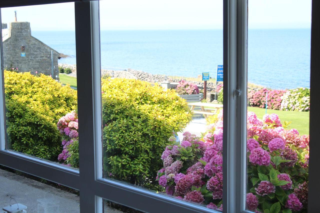 Dolphin Watch Wild Atlantic Way Villa Fanore Exterior photo